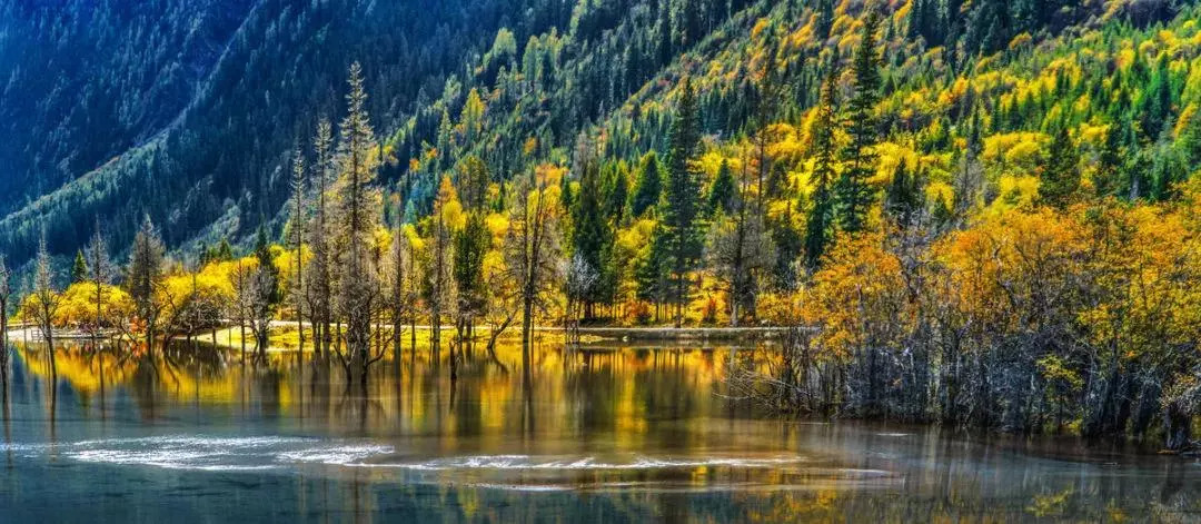 天進(jìn)儀器 天進(jìn)儀器