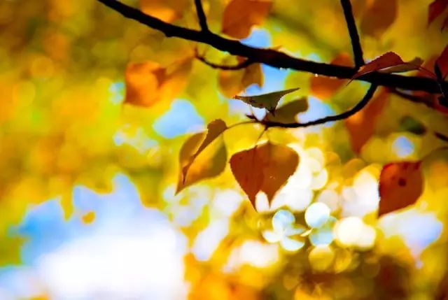 天進(jìn)儀器 天進(jìn)儀器